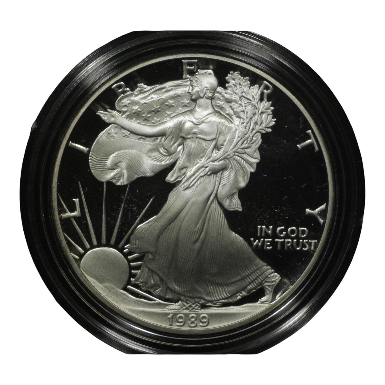 Bullion Coins & Rounds - Collectible Craze America