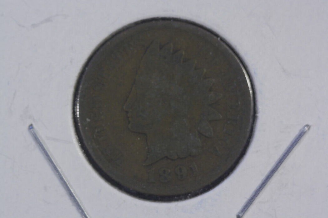 1891 Indian Head Cent Penny United States Coin