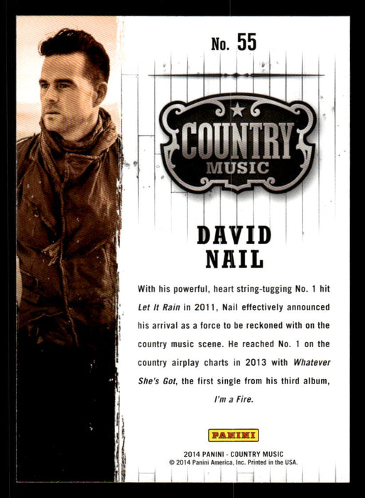 David Nail 2014 Panini Country Music Back of Card