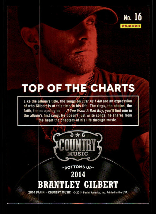 Brantley Gilbert 2014 Panini Country Music Back of Card