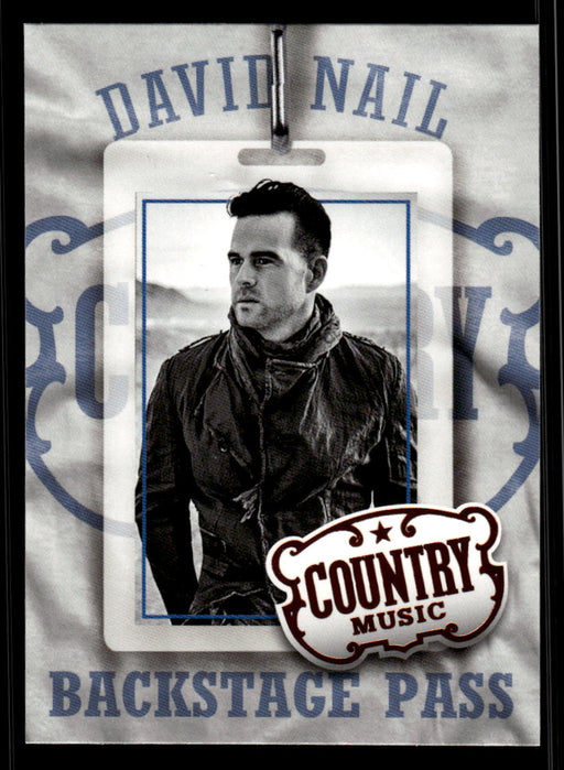 David Nail 2014 Panini Country Music Front of Card