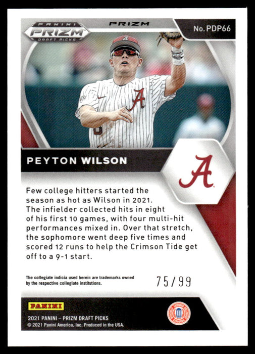 Peyton Wilson 2021 Panini Prizm Draft Picks Baseball Tiger Stripes Back of Card