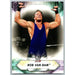 2021 Topps WWE Wrestling #199 Rob Van Dam - Collectible Craze America