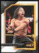 Shinsuke Nakamura 2022 Panini WWE NXT # 121 NXT Alumni NXT - Collectible Craze America